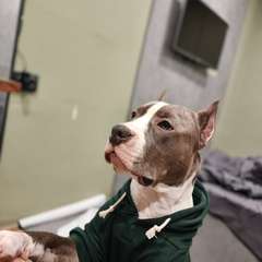 Фото отзыва 11119942