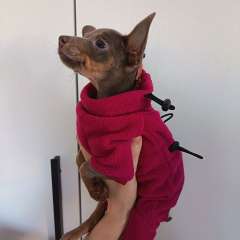 Фото отзыва 11093835