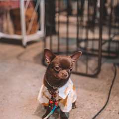 Фото отзыва 10750341