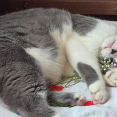 Фото отзыва 10763397