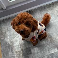 Фото отзыва 11084588