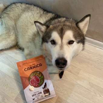 Корм для собак Carnica 0,8кг с тунцом для поддержания веса для средних и крупных пород сухой: отзыв пользователя. Зоомагазин Зоозавр