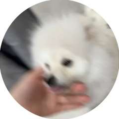 Видео отзыва 10617681