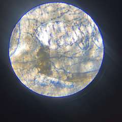 Фото отзыва 11307979