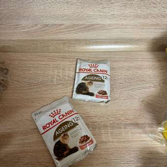 Корм для кошек ROYAL CANIN Ageing 85гр для пожилых 12+ в соусе пауч: отзыв пользователя. Зоомагазин Зоозавр