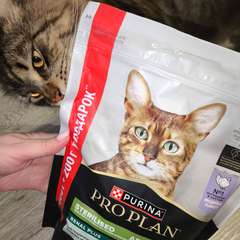 Фото отзыва 10962335