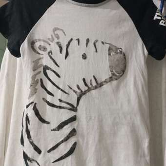 Футболка Baby Gо: отзыв пользователя ДетМир