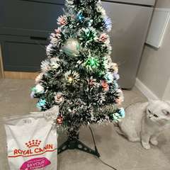 Фото отзыва 10733936