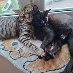 Фото отзыва 10047274