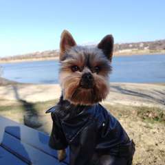 Фото отзыва 8735088