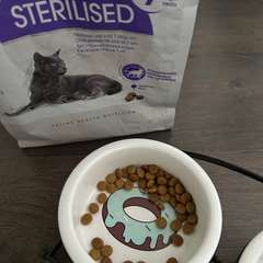 Фото отзыва 10913738