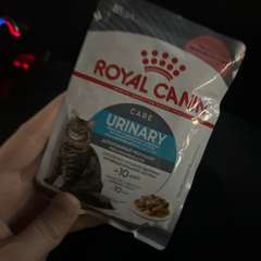 Фото отзыва 10747828