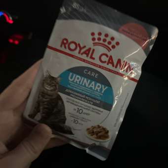 Корм для кошек ROYAL CANIN Urinary Care для поддержания здоровья мочевыделительной системы 85г: отзыв пользователя. Зоомагазин Зоозавр