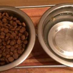 Фото отзыва 10720930