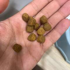 Фото отзыва 10692077