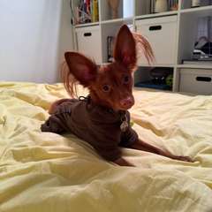 Фото отзыва 10731283