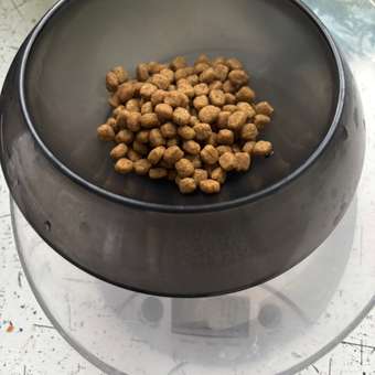 Корм для собак ROYAL CANIN породы чихуахуа 500г: отзыв пользователя. Зоомагазин Зоозавр
