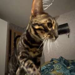 Фото отзыва 10723362