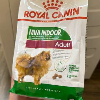 Корм для собак ROYAL CANIN малых пород живущих преимущественно в домашних условиях 500г: отзыв пользователя. Зоомагазин Зоозавр