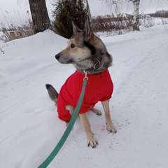 Фото отзыва 8291814