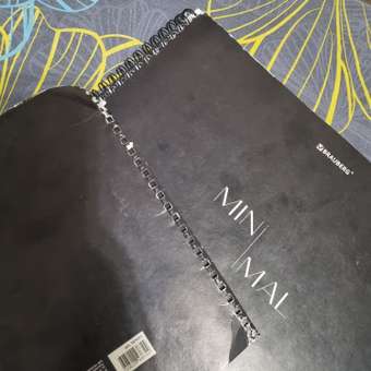 Альбом Brauberg А4: отзыв пользователя Детский Мир