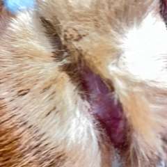 Фото отзыва 10657097