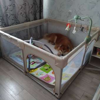 Манеж игровой BabyCare RANCHO 150*150 бежевый: отзыв пользователя Детский Мир