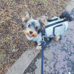 Фото отзыва 10616267