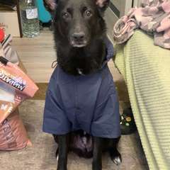 Фото отзыва 10506023