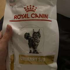 Фото отзыва 11143742