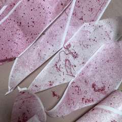 Фото отзыва 11310527