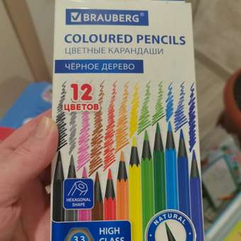 Карандаши цветные Brauberg 12 шт.: отзыв пользователя Детский Мир