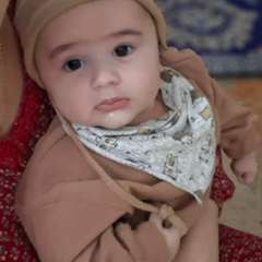 Фото отзыва 11017560