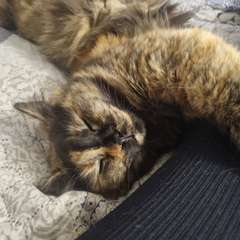 Фото отзыва 10911707