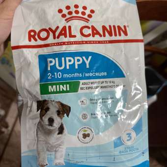 Корм для щенков ROYAL CANIN Starter мелких пород 3кг: отзыв пользователя. Зоомагазин Зоозавр