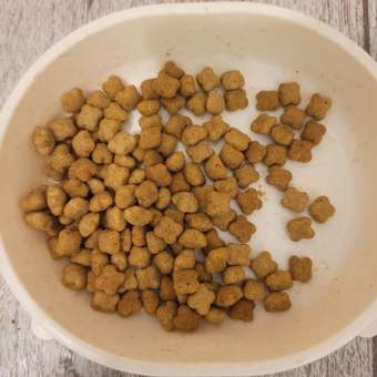 Корм сухой для котят ROYAL CANIN Sterilised 400г стерилизованных: отзыв пользователя. Зоомагазин Зоозавр