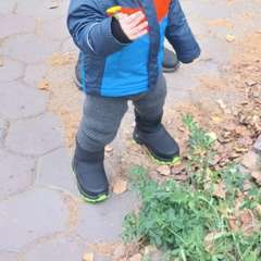 Фото отзыва 10613339