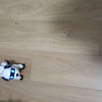 Робот РУ Mobicaro Собака: отзыв пользователя Детский Мир