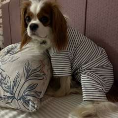 Фото отзыва 11185833