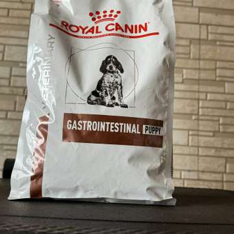 Корм для щенков ROYAL CANIN Gastro Intestinal Junior GIJ29 при нарушениях пищеварения 1кг: отзыв пользователя. Зоомагазин Зоозавр