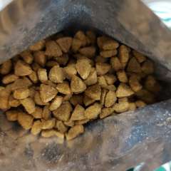 Фото отзыва 10755183