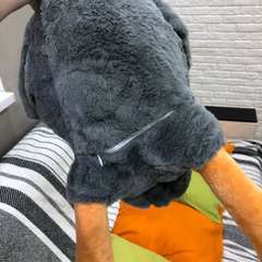 Фото отзыва 4968413