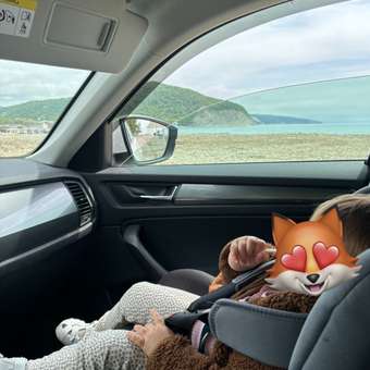 Автокресло Babyton Nord Grey 0+/1 (0-18 кг) серый: отзыв пользователя Детский Мир