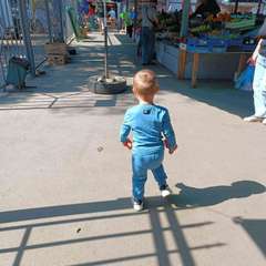 Фото отзыва 5361748