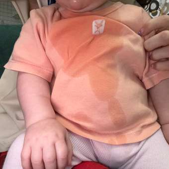 Бутылочка thyseed 300 мл: отзыв пользователя Детский Мир