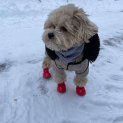 Фото отзыва 10937481