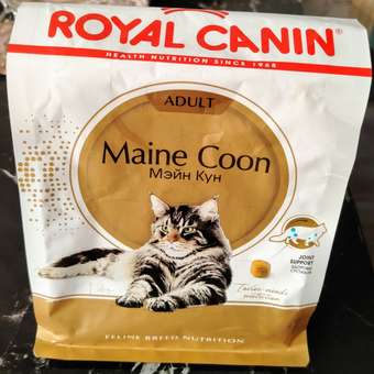 Корм сухой для кошек ROYAL CANIN Maine Coon 400г породы мейн-кун: отзыв пользователя. Зоомагазин Зоозавр