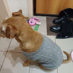 Фото отзыва 10981195