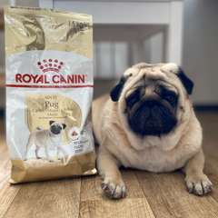 Фото отзыва 11279981