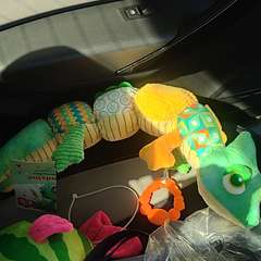 Фото отзыва 9771391